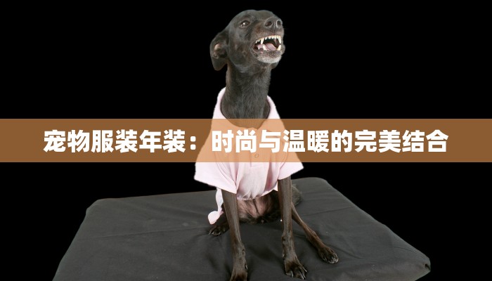 吉林四平疫情最新情报 吉林四平疫情最新情报