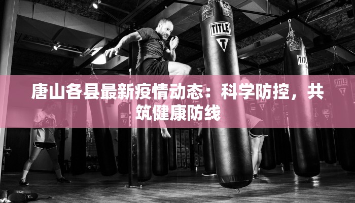 唐山各县最新疫情动态:科学防控,共筑健康防线 唐山各县最新疫情动态:科学防控,共筑健康防线