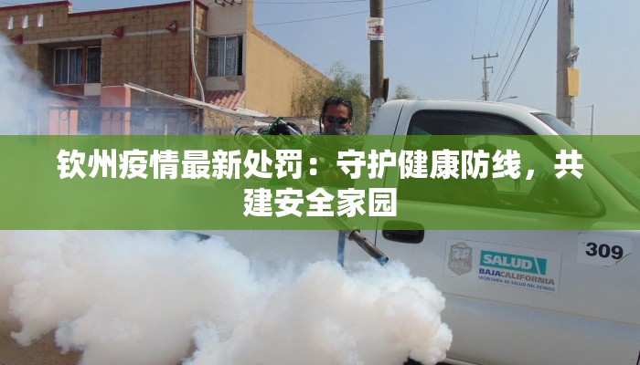 钦州疫情最新处罚:守护健康防线,共建安全家园 钦州疫情最新处罚:守护健康防线,共建安全家园