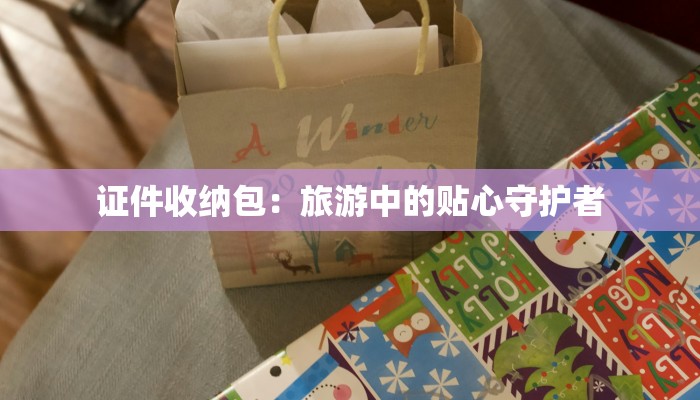 证件收纳包：旅游中的贴心守护者