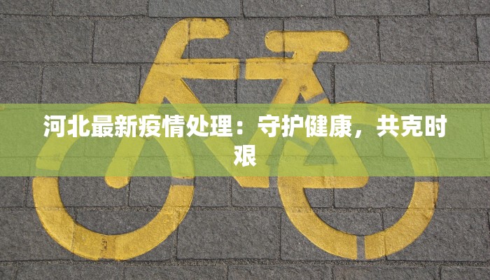 河北最新疫情处理:守护健康,共克时艰 河北最新疫情处理:守护健康,共克时艰