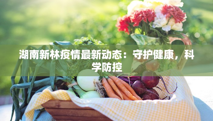 湖南新林疫情最新动态：守护健康，科学防控
