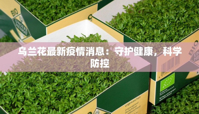 乌兰花最新疫情消息：守护健康，科学防控