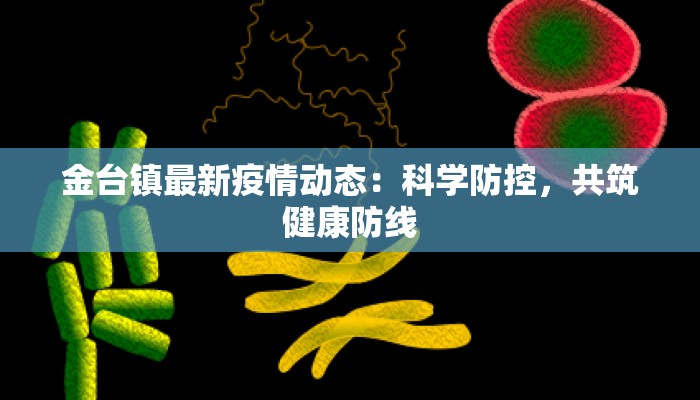 金台镇最新疫情动态：科学防控，共筑健康防线