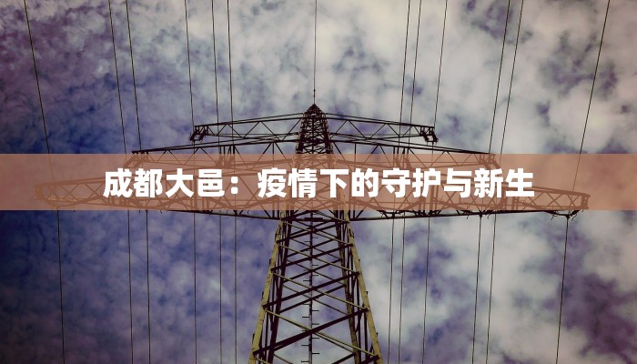 成都大邑：疫情下的守护与新生