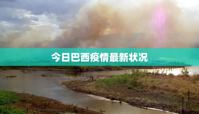 今日巴西疫情最新状况
