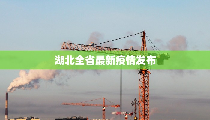 湖北全省最新疫情发布 湖北全省最新疫情发布