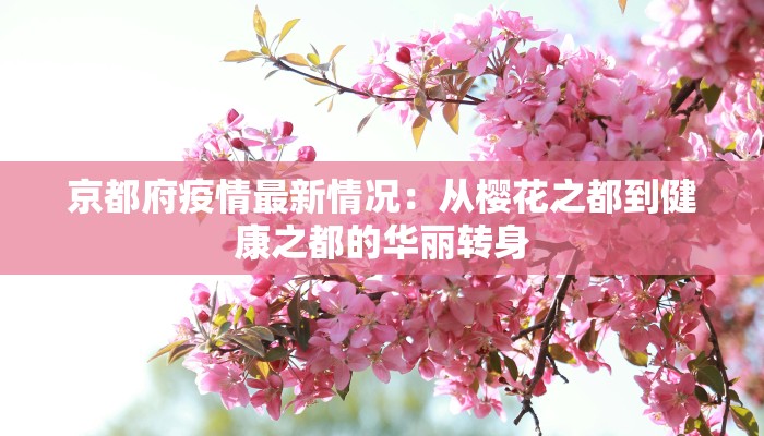 京都府疫情最新情况:从樱花之都到健康之都的华丽转身 京都府疫情最新情况:从樱花之都到健康之都的华丽转身