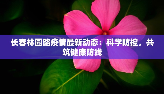 长春林园路疫情最新动态:科学防控,共筑健康防线 长春林园路疫情最新动态:科学防控,共筑健康防线