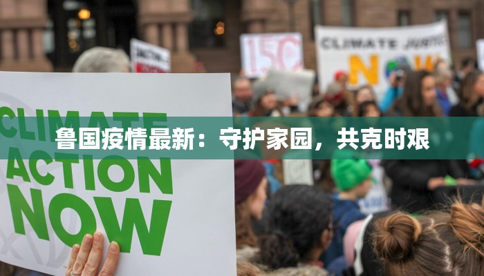 鲁国疫情最新：守护家园，共克时艰