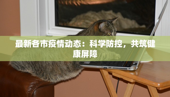 最新各市疫情动态:科学防控,共筑健康屏障 最新各市疫情动态:科学防控,共筑健康屏障