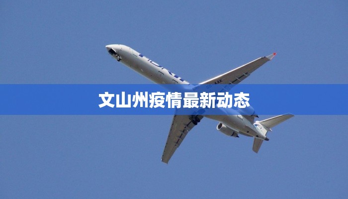 文山州疫情最新动态 文山州疫情最新动态