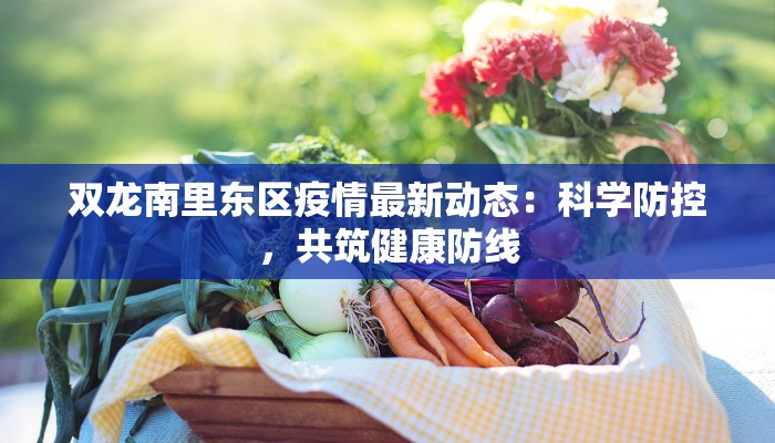 双龙南里东区疫情最新动态:科学防控,共筑健康防线 双龙南里东区疫情最新动态:科学防控,共筑健康防线