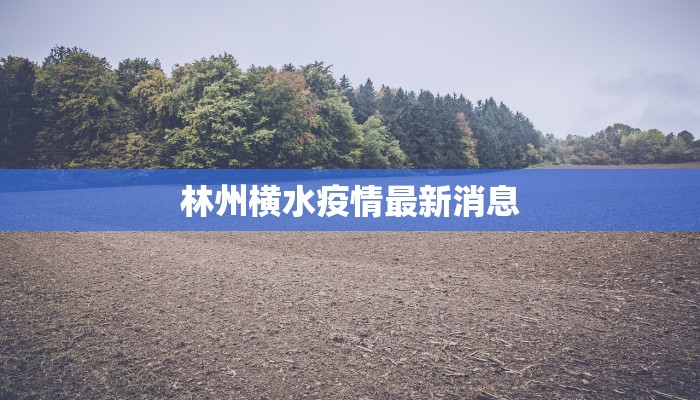 上海最新疫情逐步向好 上海最新疫情逐步向好