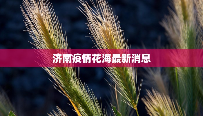 济南疫情花海最新消息 济南疫情花海最新消息