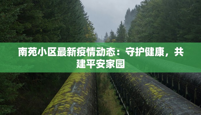 南苑小区最新疫情动态:守护健康,共建平安家园 南苑小区最新疫情动态:守护健康,共建平安家园