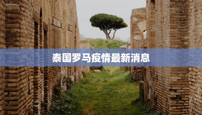 泰国罗马疫情最新消息