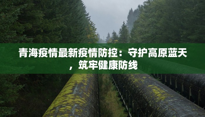 青海疫情最新疫情防控：守护高原蓝天，筑牢健康防线