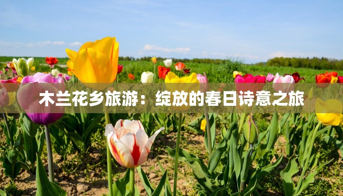 木兰花乡旅游:绽放的春日诗意之旅 木兰花乡旅游:绽放的春日诗意之旅