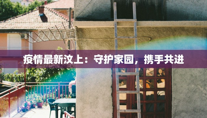 疫情最新汶上：守护家园，携手共进