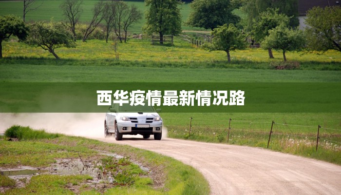 广州华南枢纽：疫情下的韧性与新生