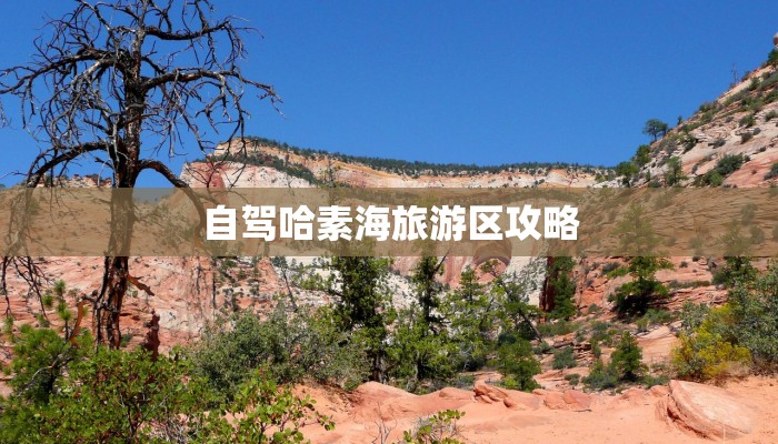 自驾哈素海旅游区攻略 自驾哈素海旅游区攻略