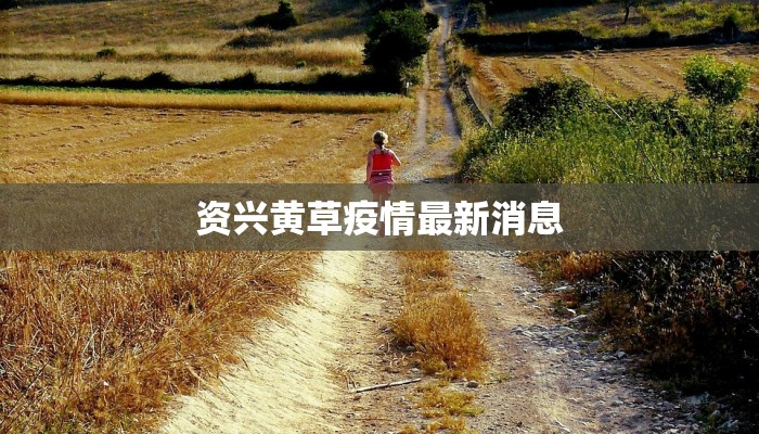 资兴黄草疫情最新消息