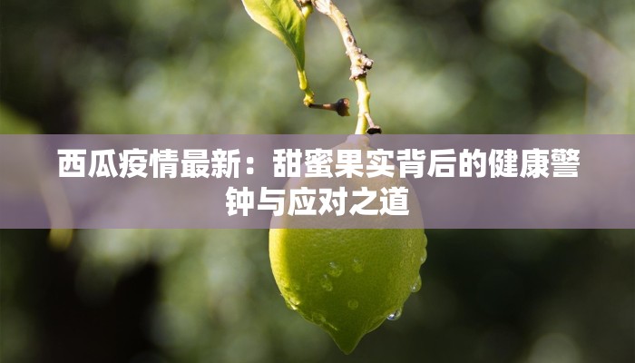 西瓜疫情最新：甜蜜果实背后的健康警钟与应对之道