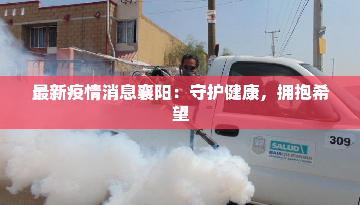 磁山疫情最新通报：科学防控，共筑健康防线