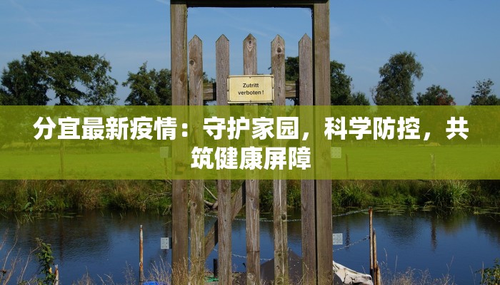 分宜最新疫情：守护家园，科学防控，共筑健康屏障