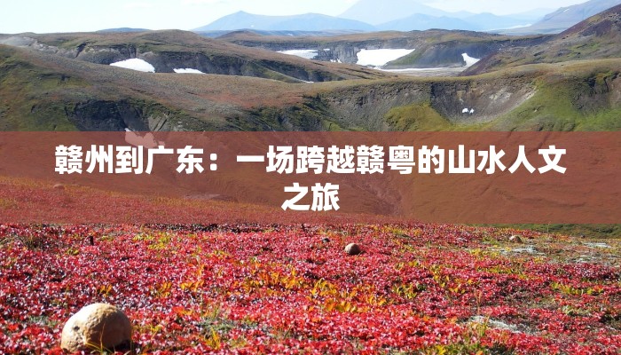 西安疫情人数最新通知