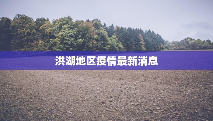 洪湖地区疫情最新消息 洪湖地区疫情最新消息