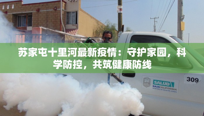 苏家屯十里河最新疫情：守护家园，科学防控，共筑健康防线
