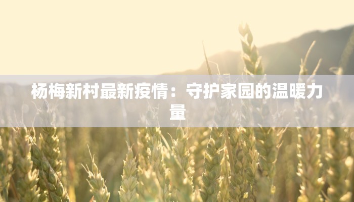 杨梅新村最新疫情：守护家园的温暖力量
