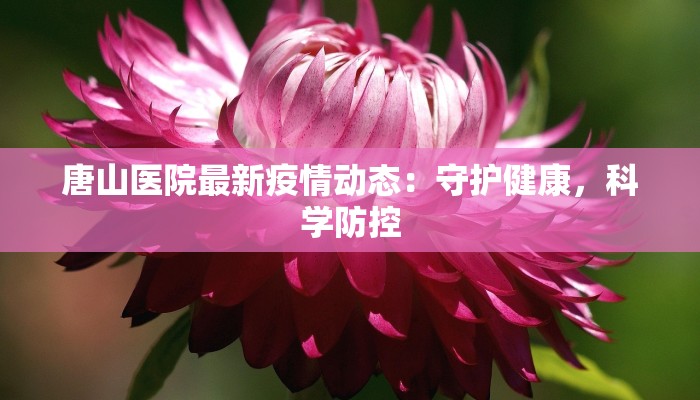 蚌山疫情最新报告情况