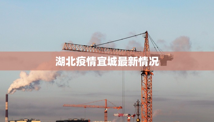 湖北疫情宜城最新情况