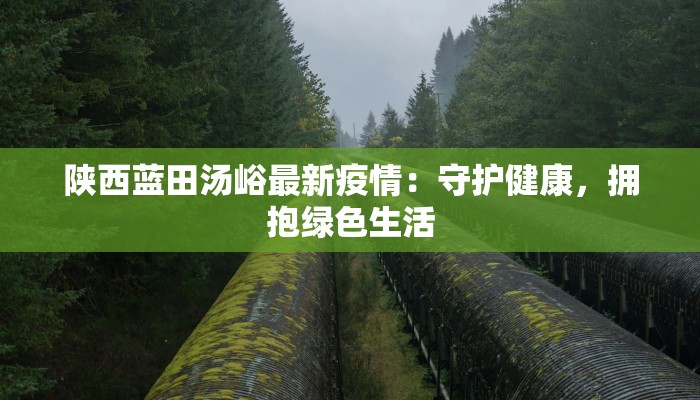 陕西蓝田汤峪最新疫情：守护健康，拥抱绿色生活