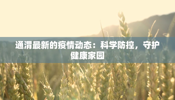 通渭最新的疫情动态：科学防控，守护健康家园