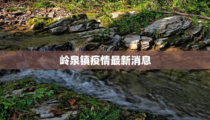 岭泉镇疫情最新消息 岭泉镇疫情最新消息