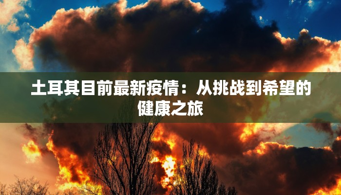 土耳其目前最新疫情：从挑战到希望的健康之旅