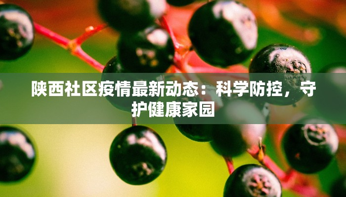 陕西社区疫情最新动态:科学防控,守护健康家园 陕西社区疫情最新动态:科学防控,守护健康家园