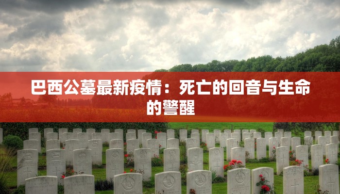 巴西公墓最新疫情：死亡的回音与生命的警醒