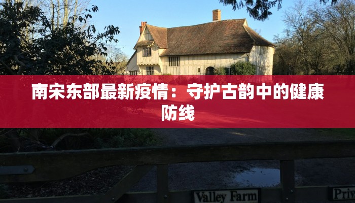 南宋东部最新疫情：守护古韵中的健康防线