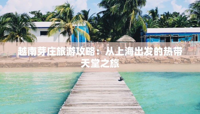 越南芽庄旅游攻略：从上海出发的热带天堂之旅