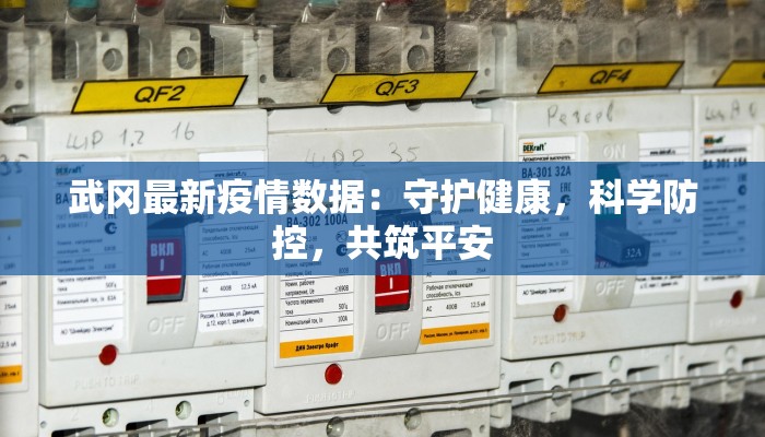 武冈最新疫情数据：守护健康，科学防控，共筑平安