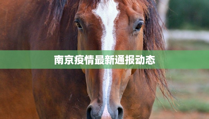 祖庙最新疫情：守护文化圣地，科学防控有妙招