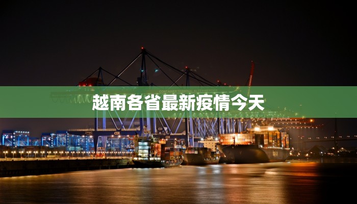 越南各省最新疫情今天